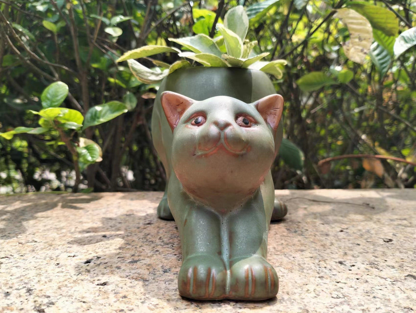 Stretching Kitty Succulent Ceramic pot