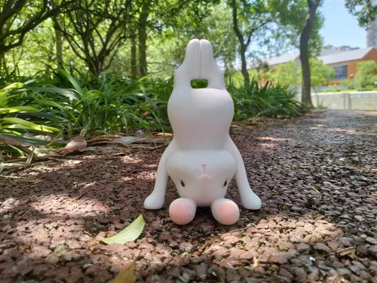 Yoga Animal Headstand Rabbit