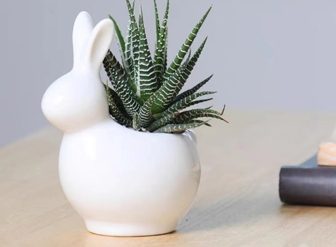 Bunny Ceramic Succulent Planter