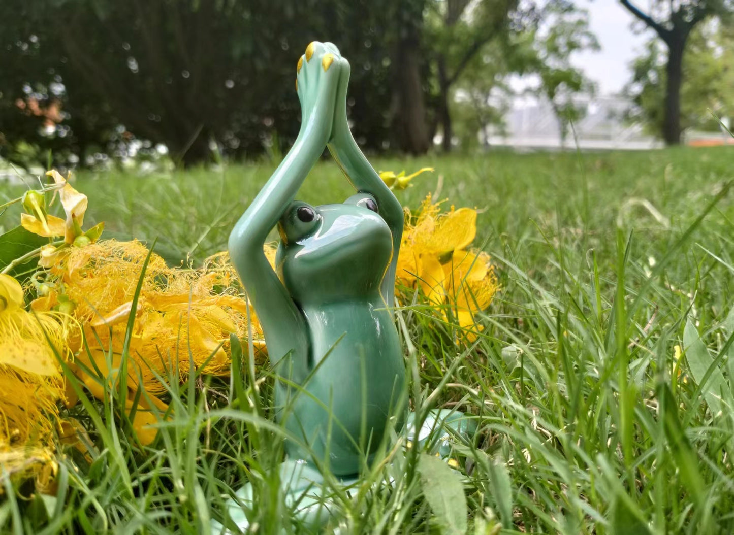 Ceramic Yoga Frog