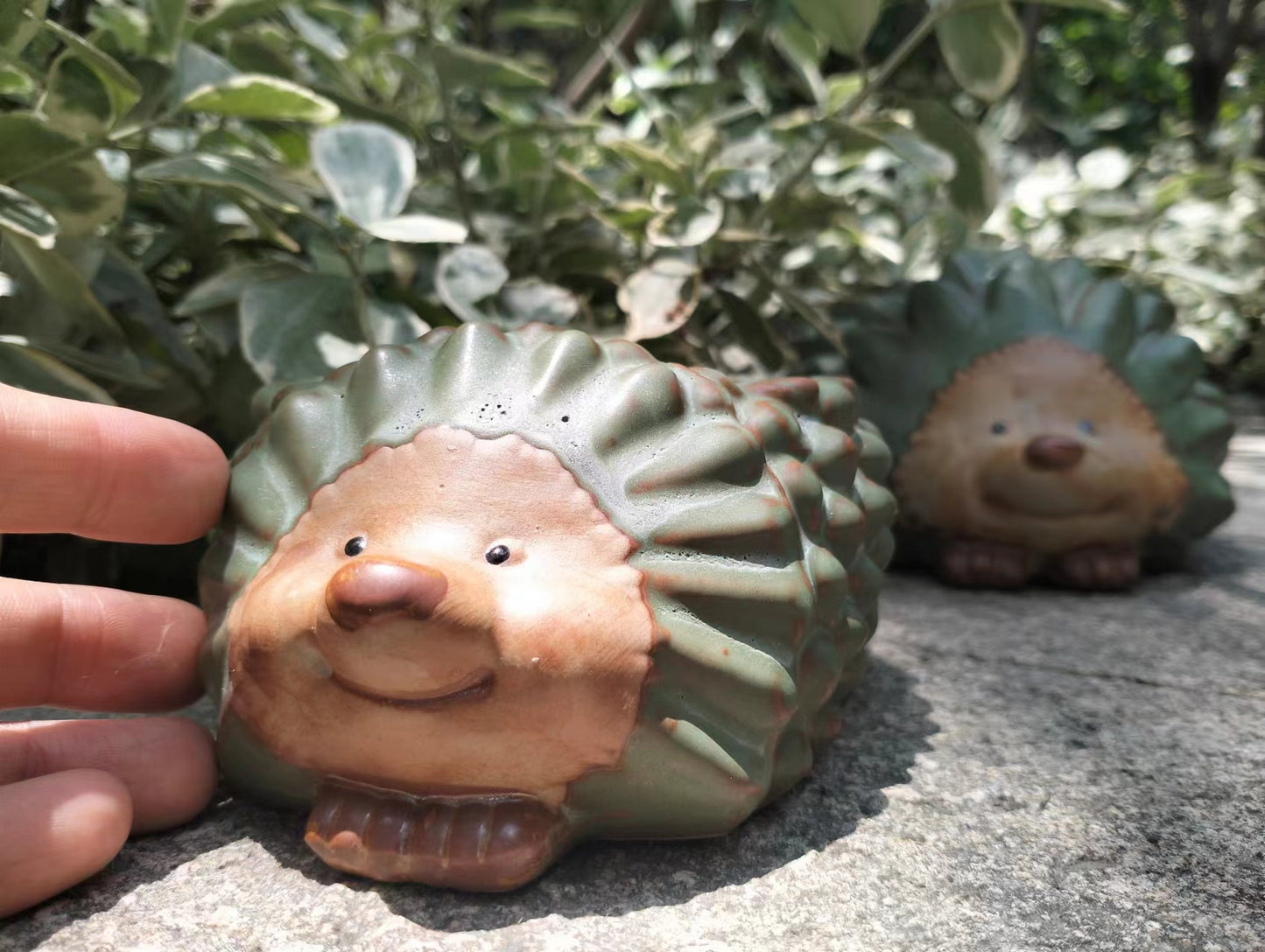 Hedgehog Succulent small Ceramic pot