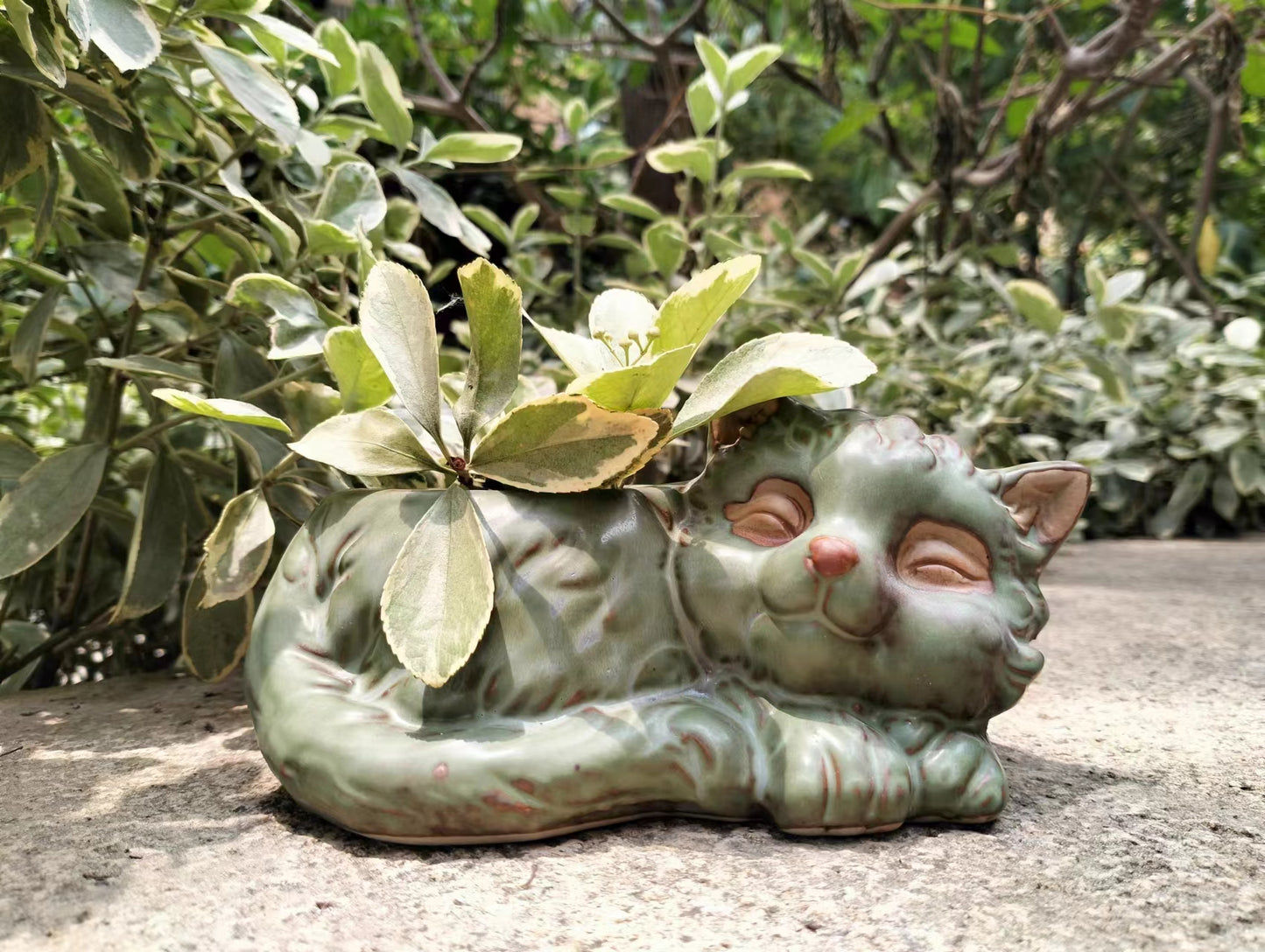 Kitty Succulent Ceramic Flower pot