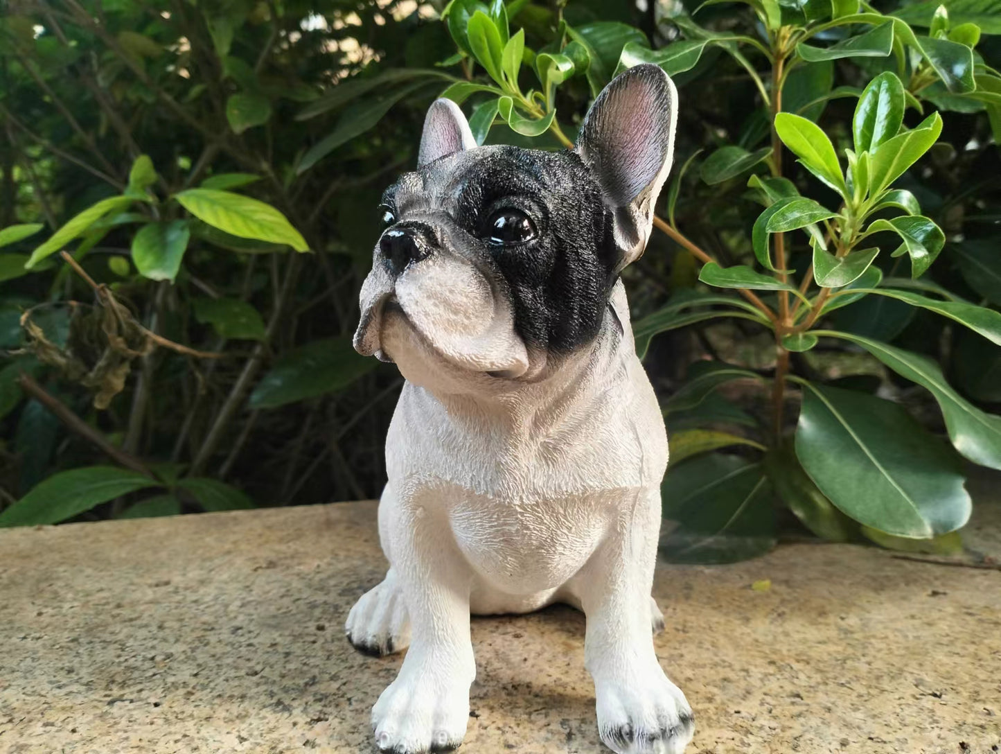 Realistic Black and White French Bulldog Resin Figurine