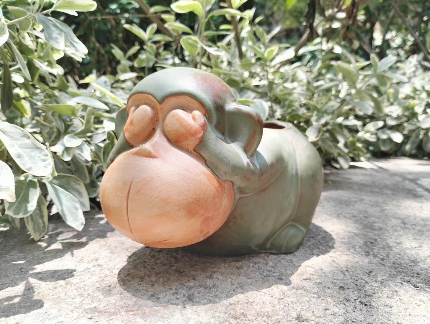 Lovely Monkey Succulent Ceramic pot