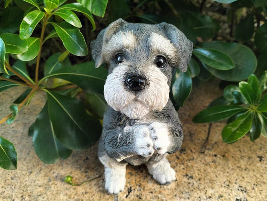 Miniature Schnauzer Resin Figurine