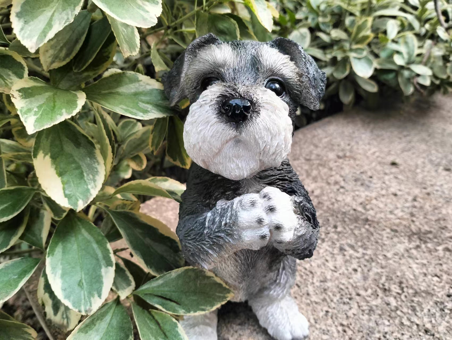 Miniature Schnauzer Resin Figurine