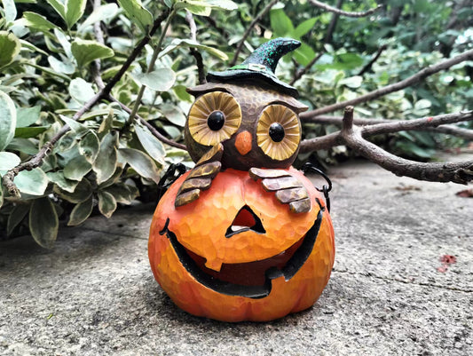 Owl Pumpkin Lantern Halloween Celebration Decor