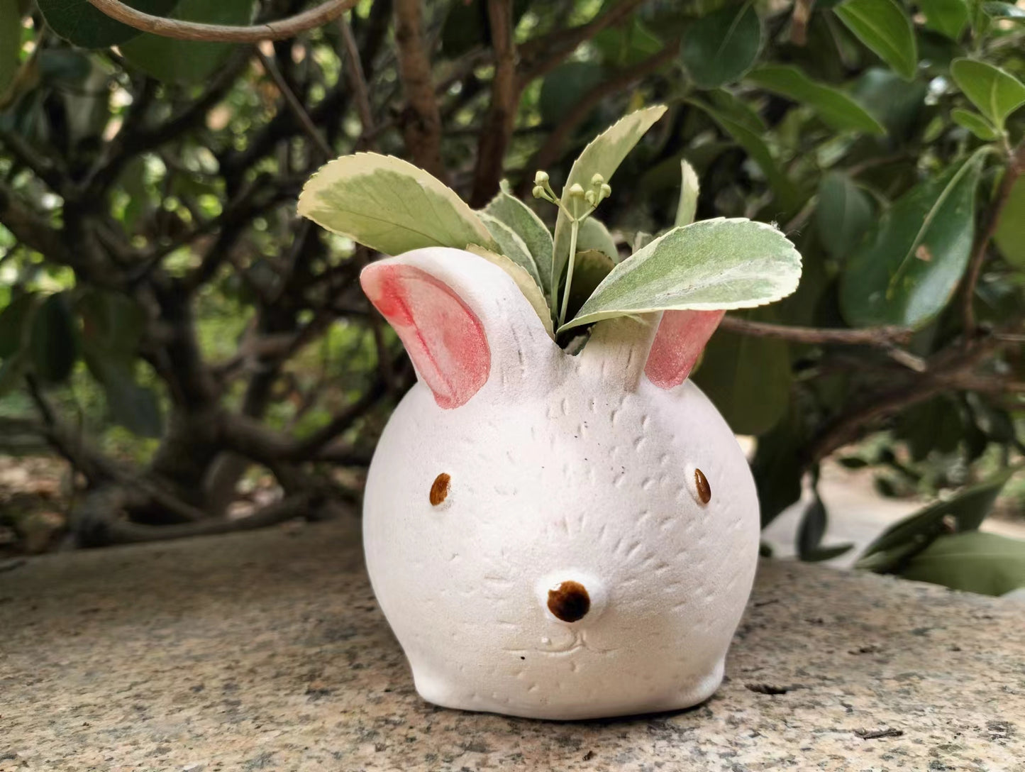 Rabbit Succulent Small Ceramic pot