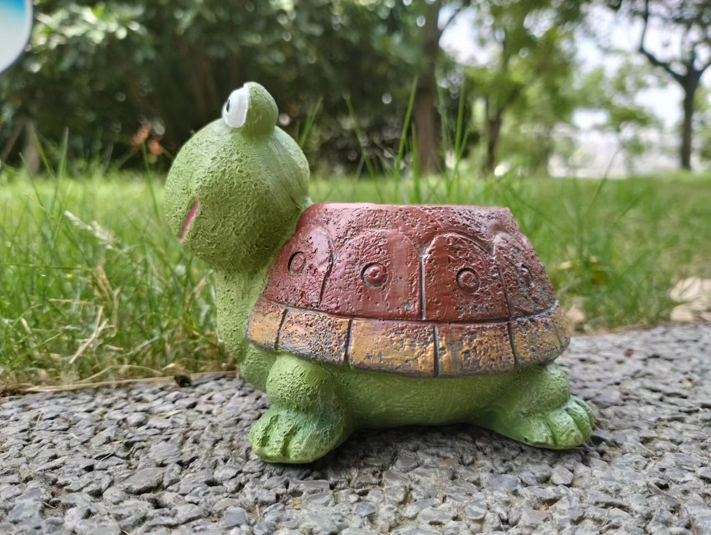 Turtle Succulent Flower pot