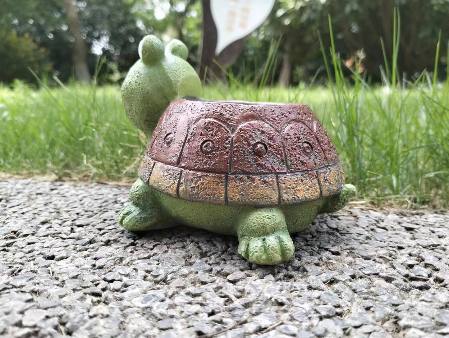 Turtle Succulent Flower pot