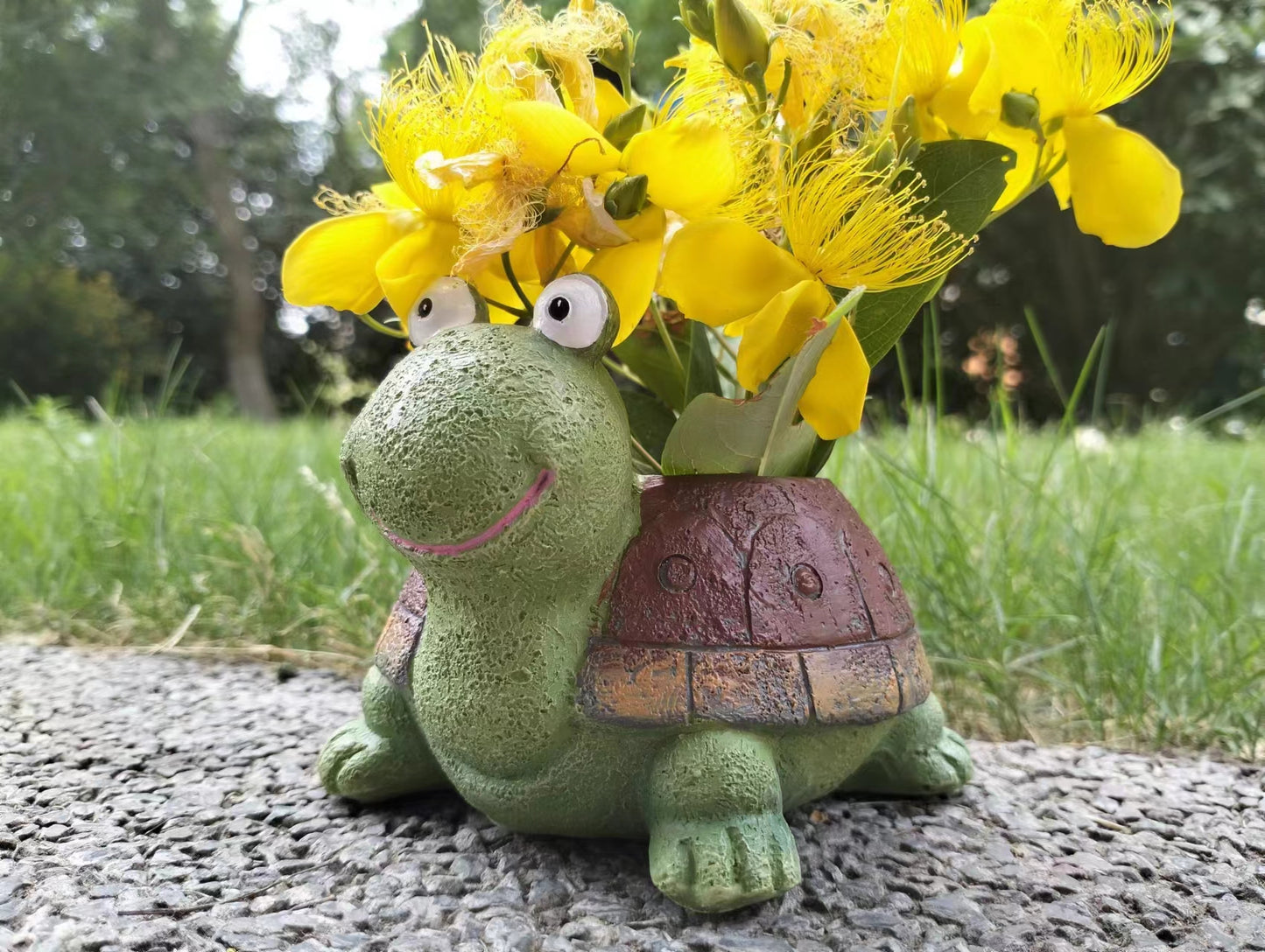 Turtle Succulent Flower pot