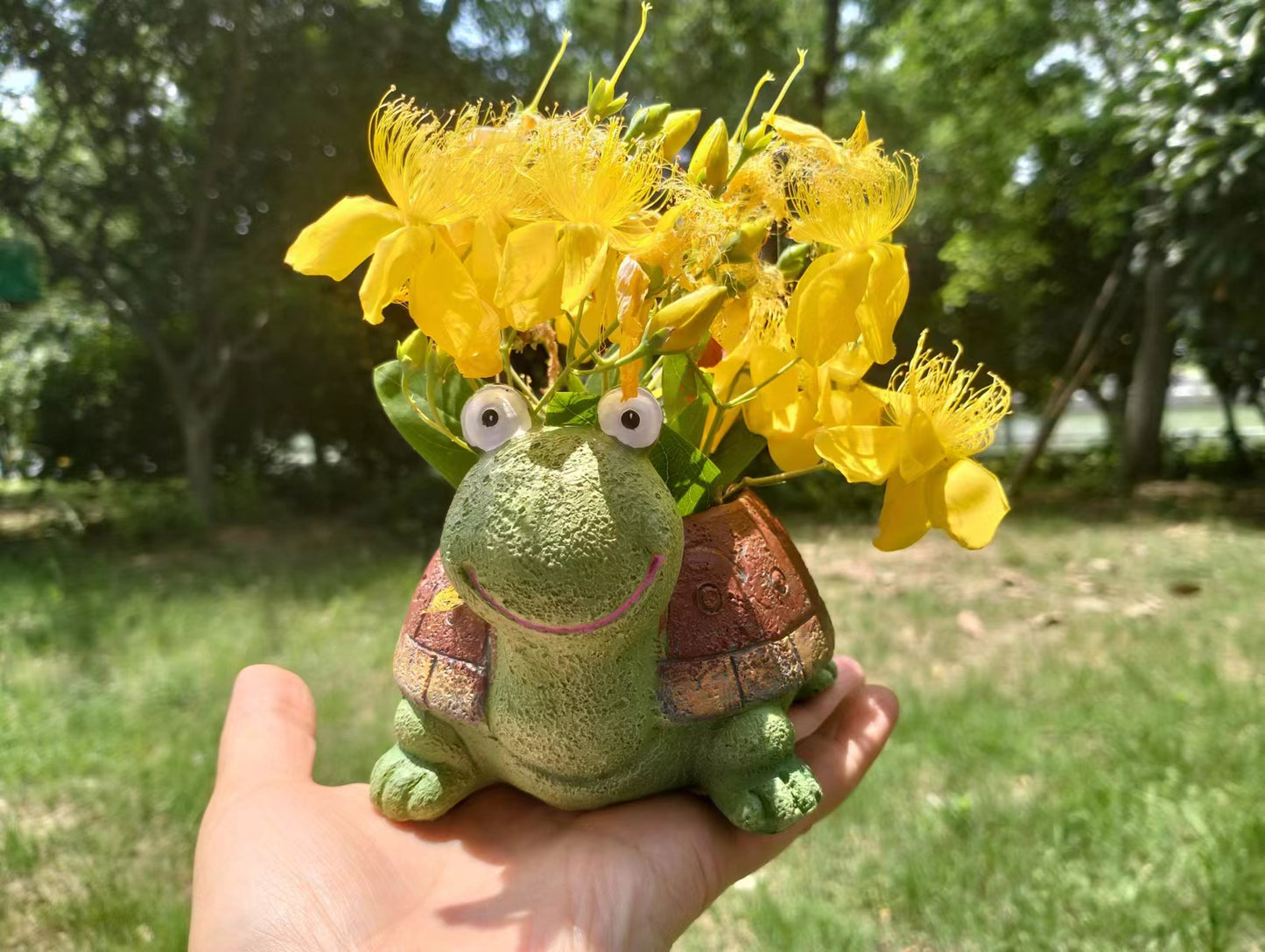 Turtle Succulent Flower pot