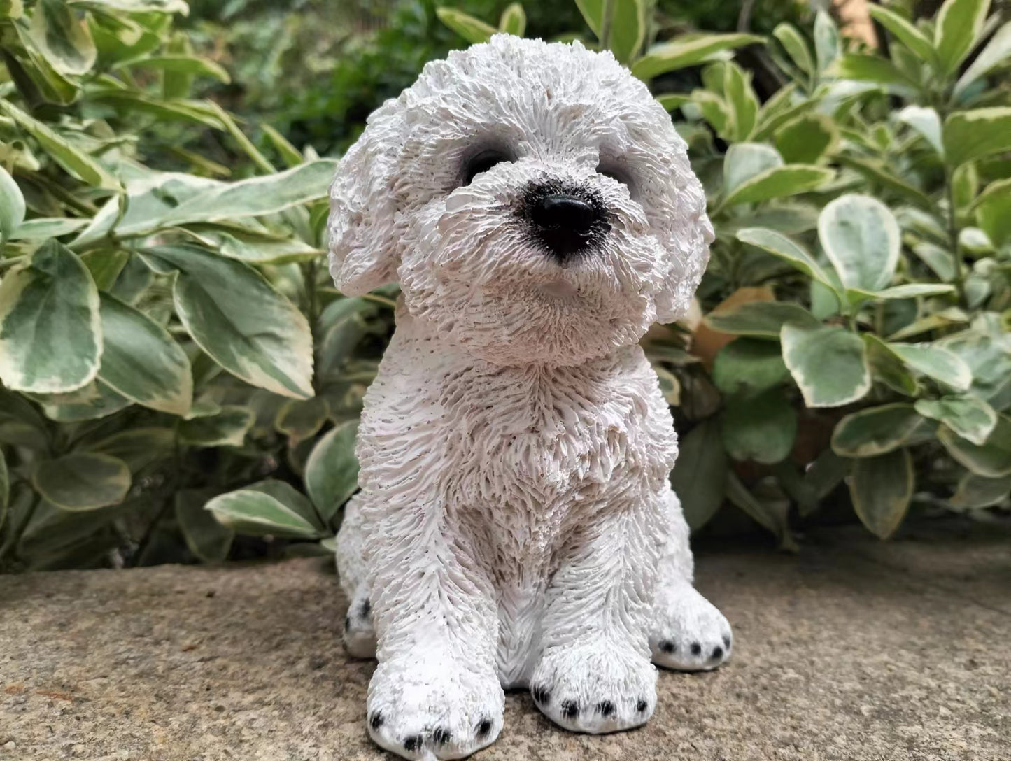 Sitting Bichon Frise Puppy White Poodle Dog