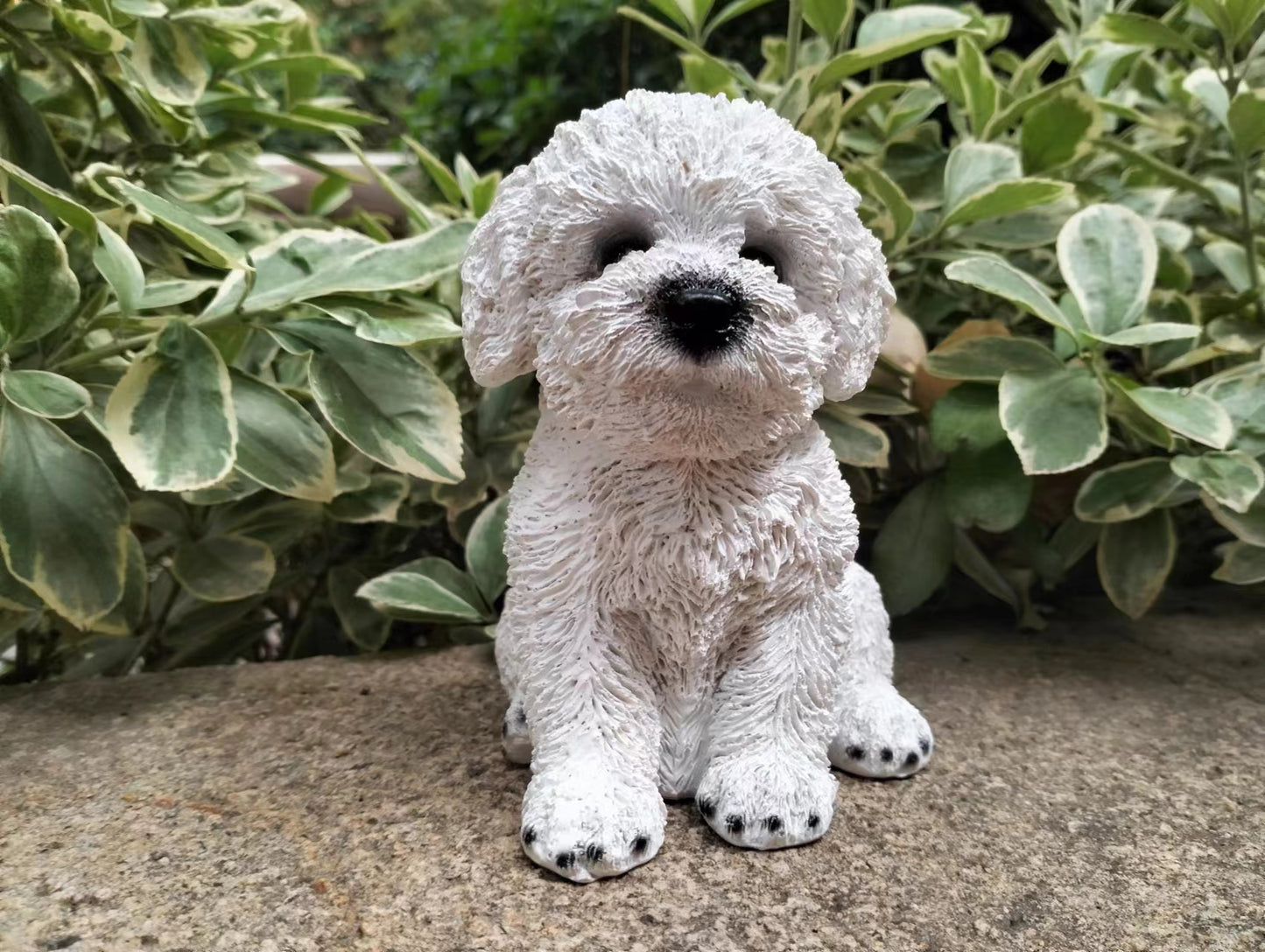 Sitting Bichon Frise Puppy White Poodle Dog