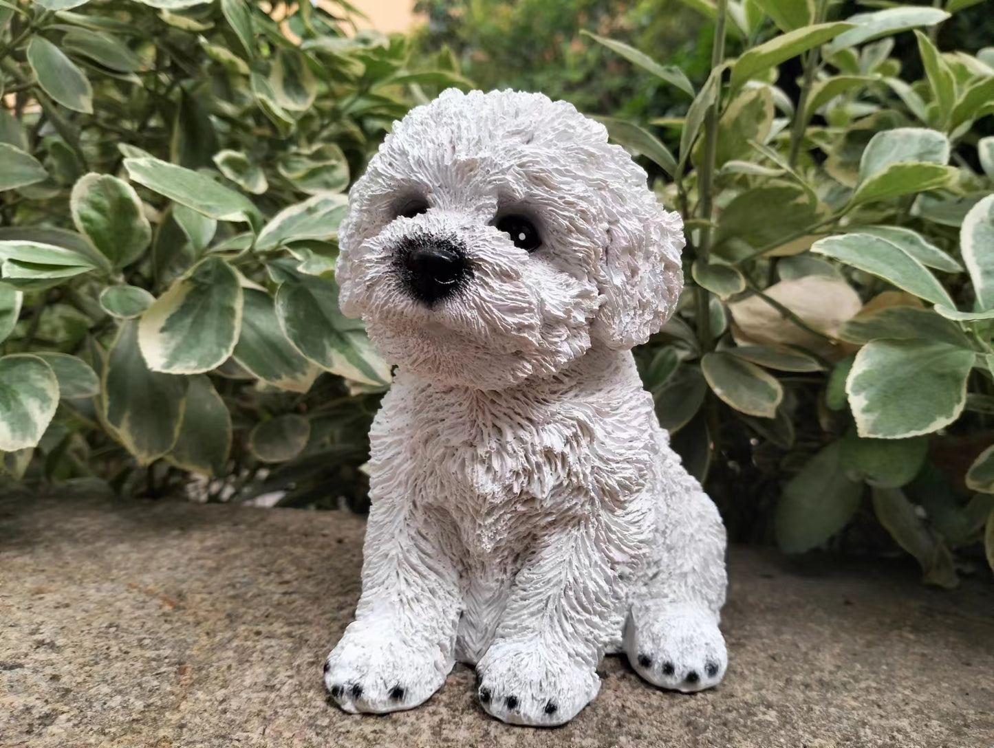 Sitting Bichon Frise Puppy White Poodle Dog