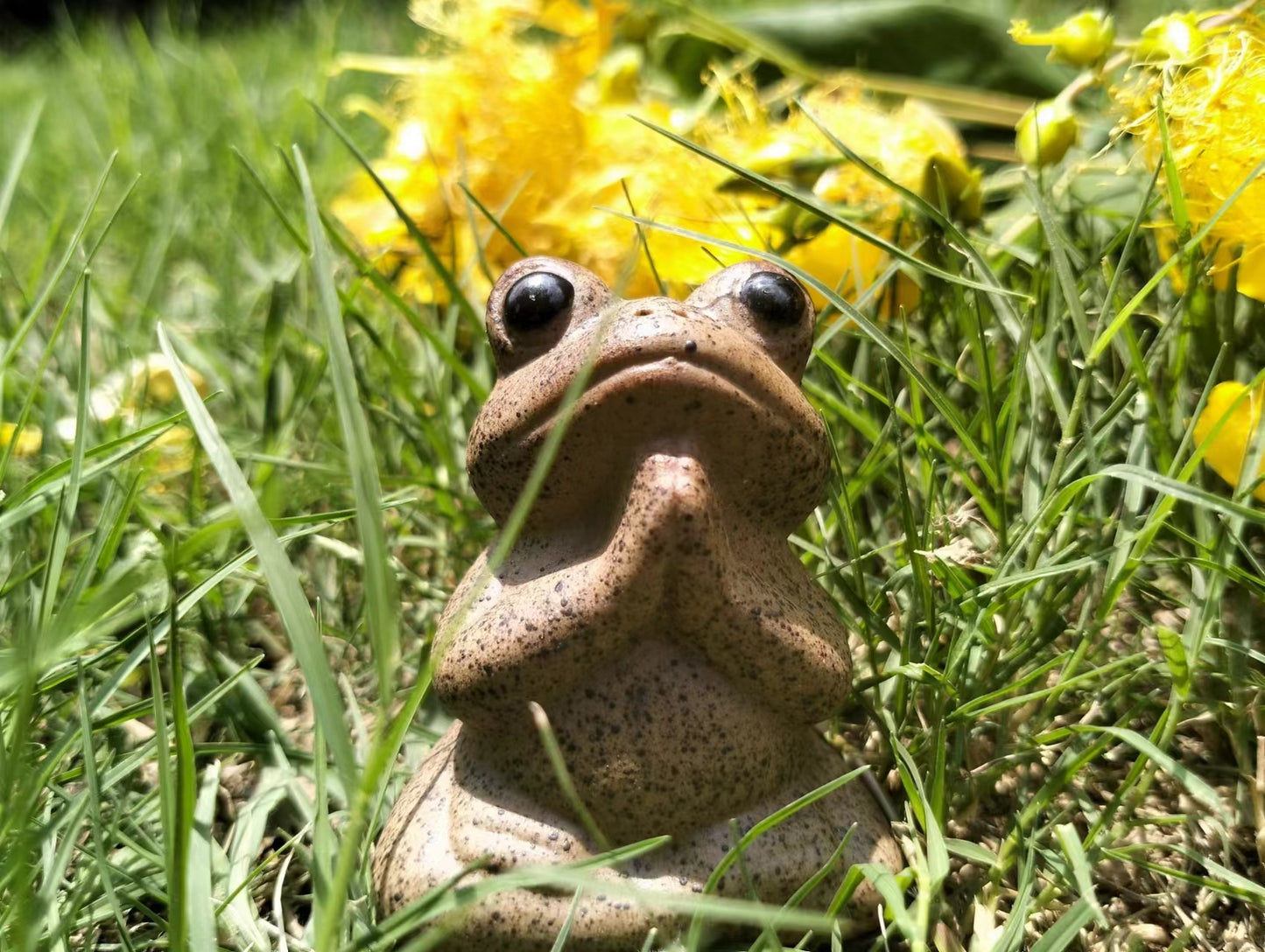 Yoga Animal Praying Frog