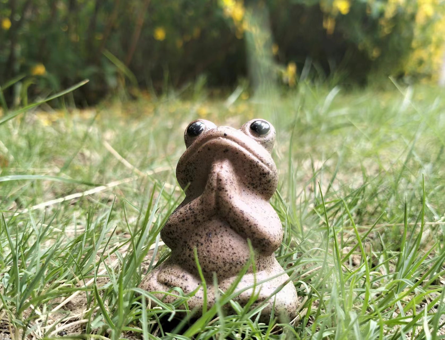 Yoga Animal Praying Frog