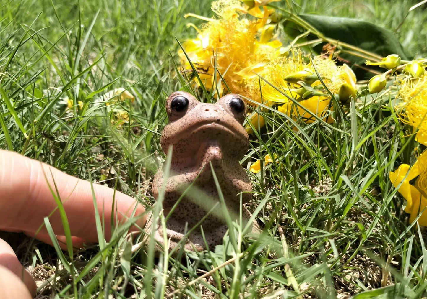 Yoga Animal Praying Frog