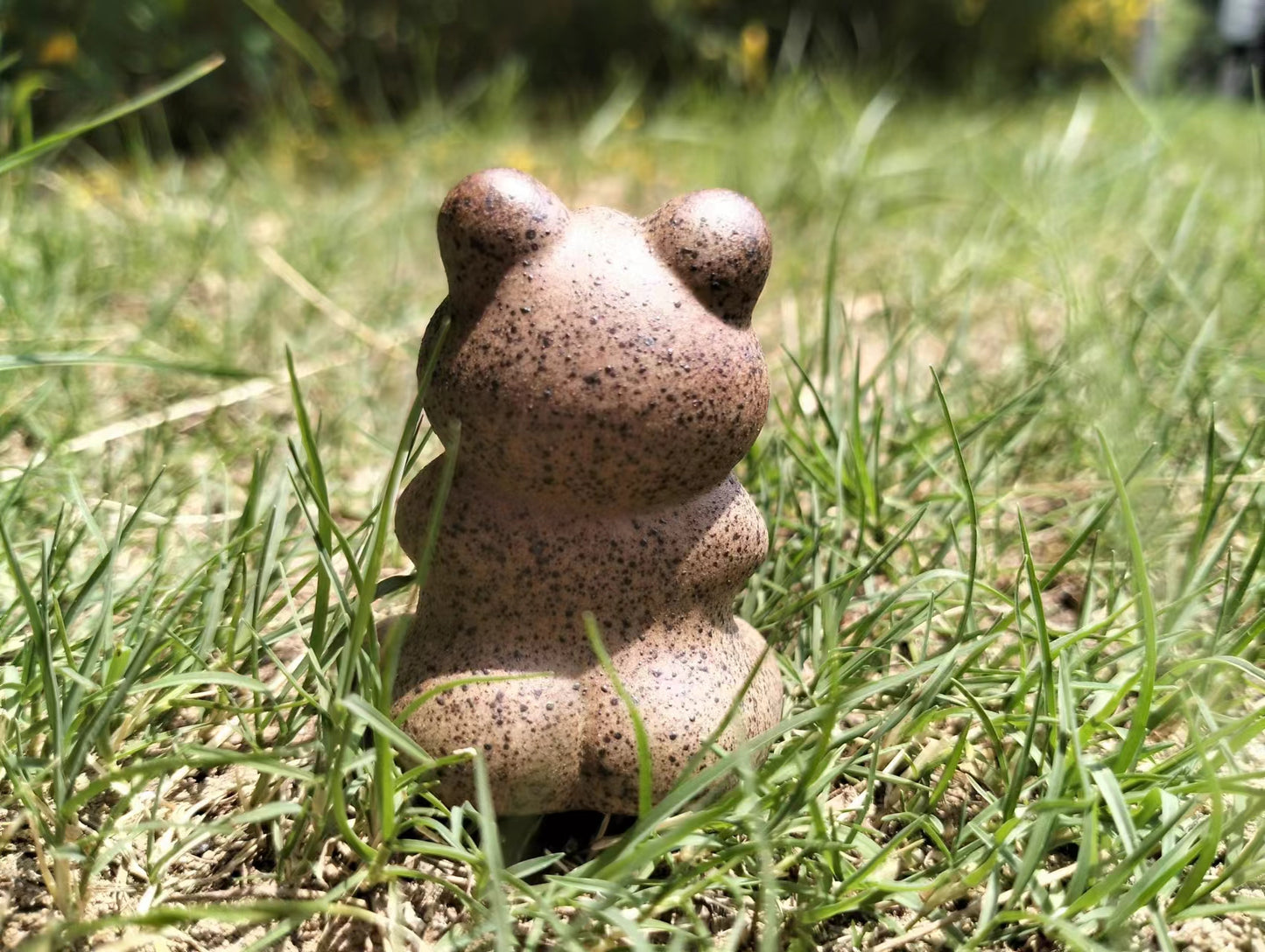 Yoga Animal Praying Frog