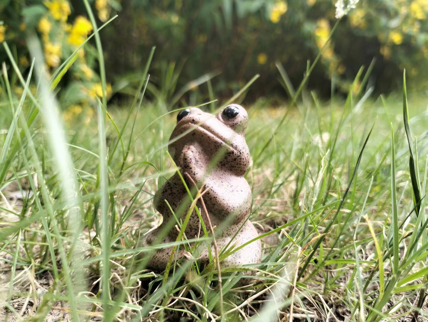 Yoga Animal Praying Frog