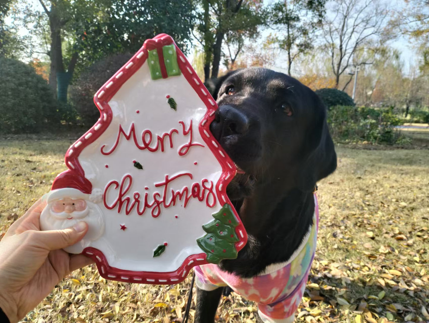 Santa-Themed Christmas Tree Plate