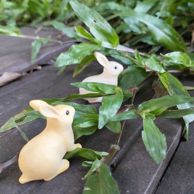 Small Resin Bunny Figurines in Pair